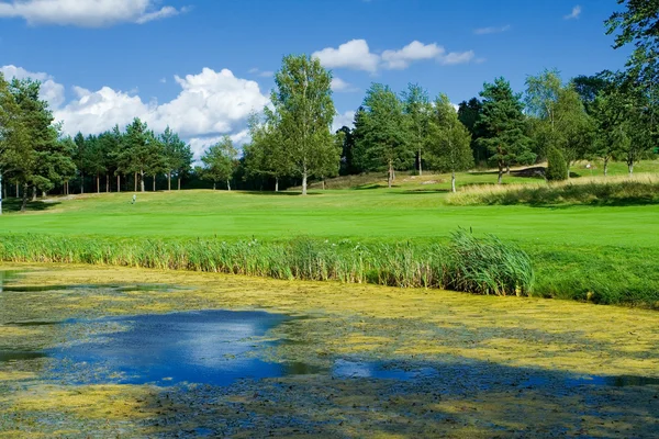 Campo de golfe com lagoa — Fotografia de Stock