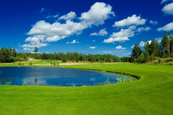 Campo de golf en Suecia en julio —  Fotos de Stock