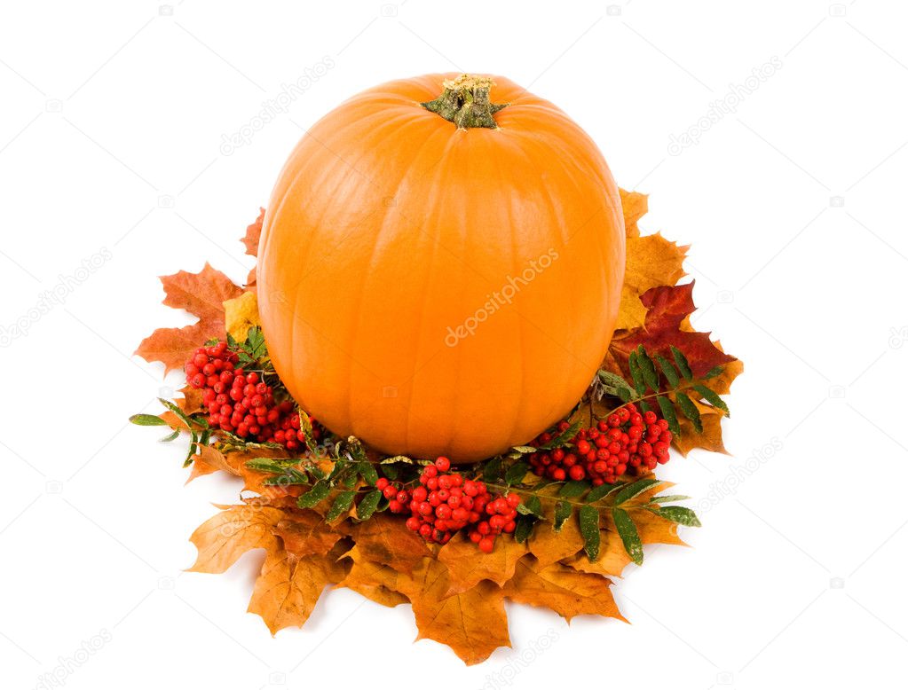 Fall harvest decoration, isolated on white