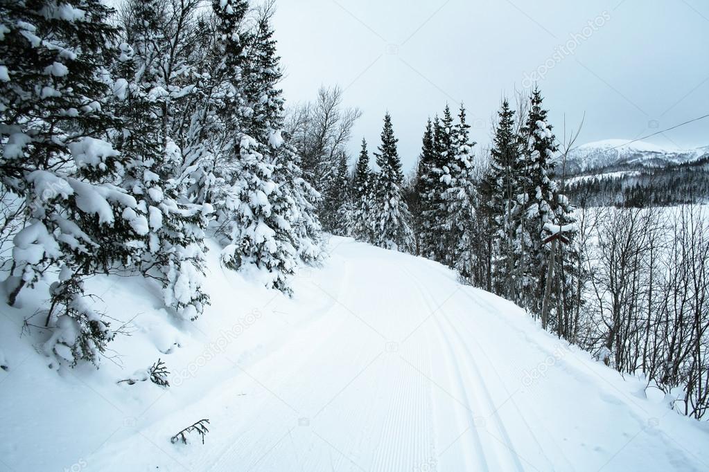 Cross country skiing trail