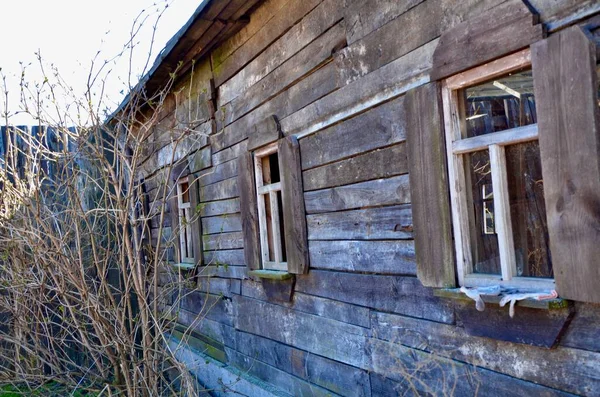 Très Vieille Maison Bois Brun Avec Fenêtres Bois Branches Sur — Photo