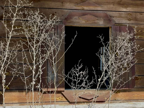 Wooden brown house with a wooden window. Branches with buds on the background of a wooden window. Beautiful old house in the spring.