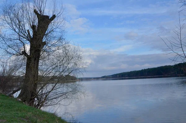 Beautiful Endless Lake Late Afternoon Lake Displays Sky Mirror Mirror — Stock Photo, Image