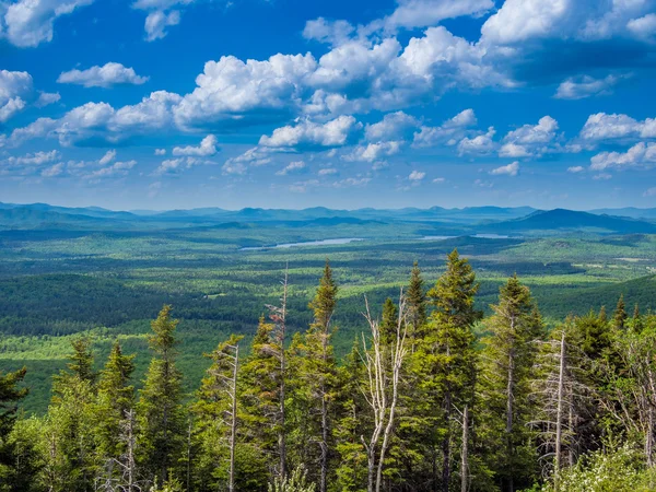 Panaroma των βουνών Adirondack — Φωτογραφία Αρχείου