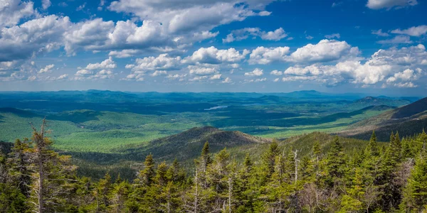 Panaroma av Adirondack Mountains — Stockfoto