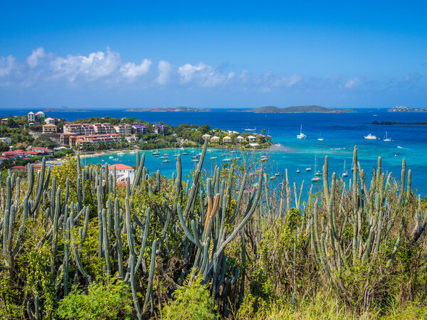 Postcard view from US Virgin Islands