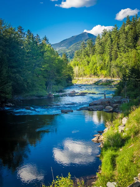 Pequeño río de montaña — Foto de Stock