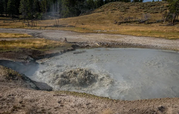 Mud gejzír — Stock fotografie