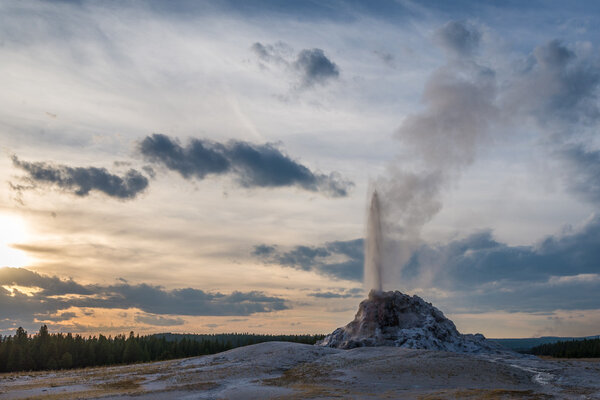 White Dome Geyser - the landmark of Yellowstone National Park