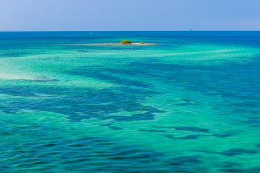 Tropikal deniz ve arka plan üzerinde küçük mercan resif su