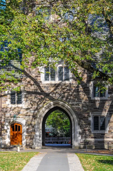 Universität Princeton — Stockfoto