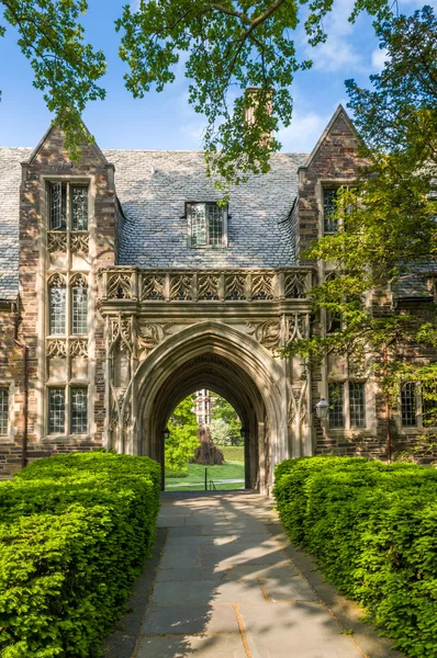 Universität Princeton — Stockfoto