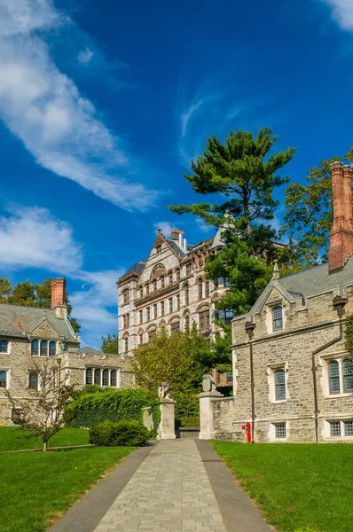 Università di Princeton — Foto Stock