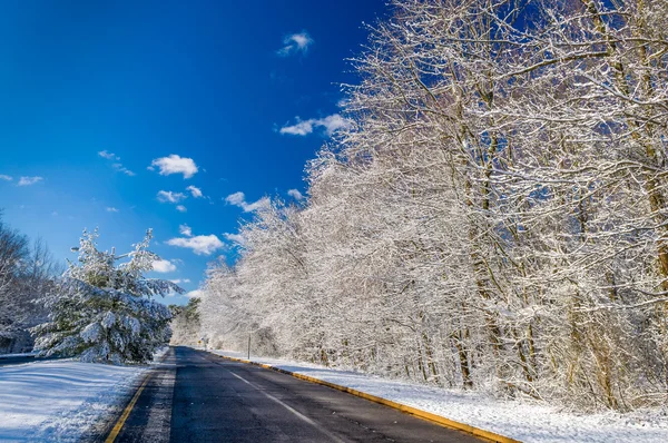 Camino de invierno —  Fotos de Stock