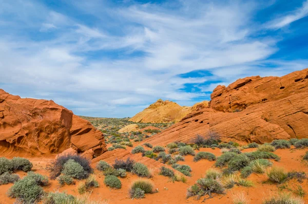 Deserto de pedra — Fotografia de Stock