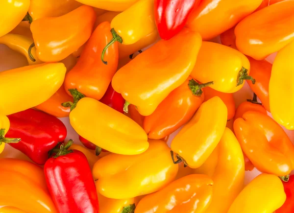 Mini-Paprika — Stockfoto