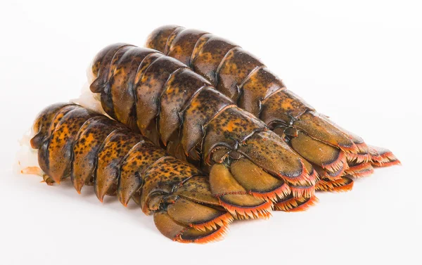 Caudas de lagosta — Fotografia de Stock