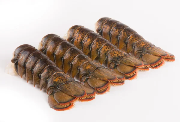 Ogony homara — Zdjęcie stockowe