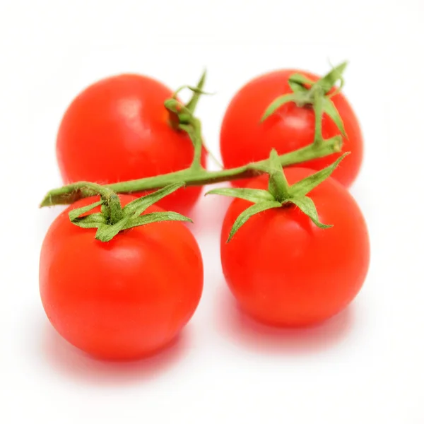 Kirschtomaten — Stockfoto