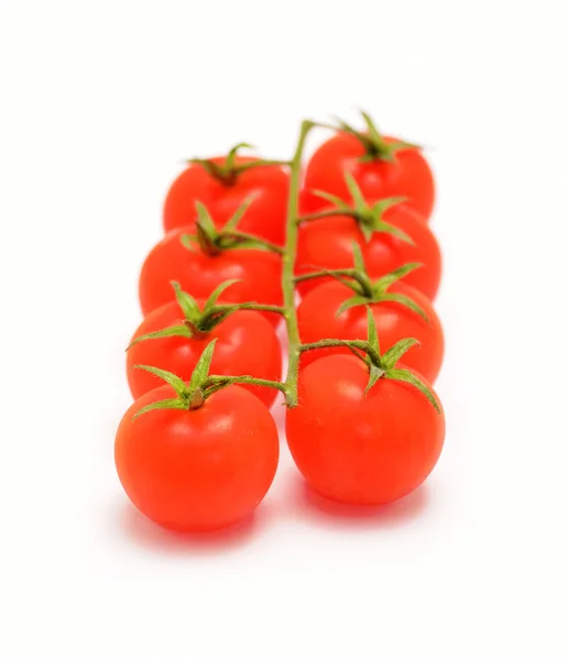 Kirschtomaten — Stockfoto