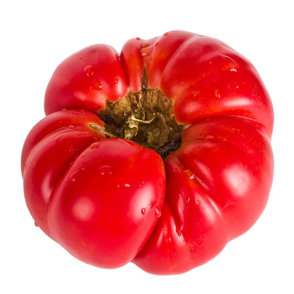 Hässliche Tomaten — Stockfoto