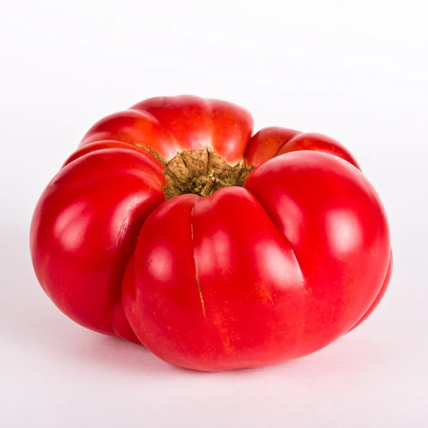 Ošklivé rajčat — Stock fotografie