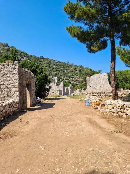 Olympos Cidade Antiga Helenística Romana Período Bizantino Lugares Históricos Turquia — Fotografia de Stock