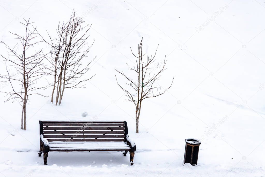Central park bench white covered snow and trees with copy space snow background