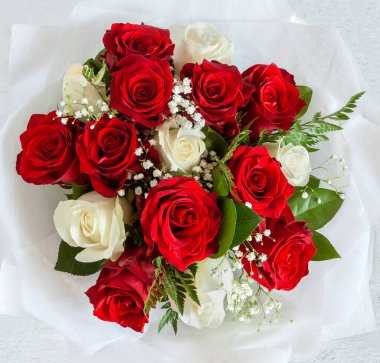 Yeşil yapraklı beyaz ve kırmızı gül, izole edilmiş arka plan manzarası düz.