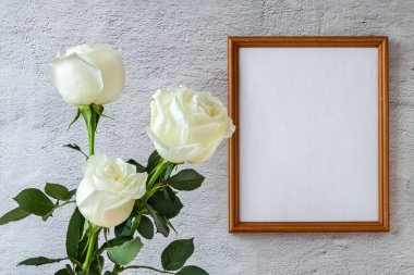 Beyaz portre dikey çerçeve modeli ile beyaz gül gri beton arka plan.