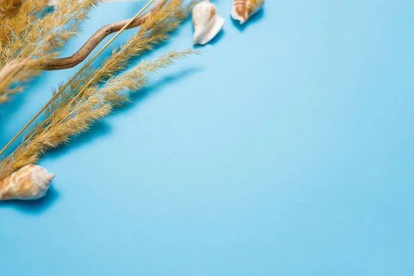 Підготовка Майбутньої Листівки Сушені Квіти Кольоровому Фоні — стокове фото