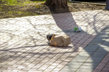 Karga abur cubur paketlerini karıştırıyor..