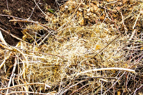 Warm Bed Takken Humus Put Een Bed Voor Het Planten — Stockfoto