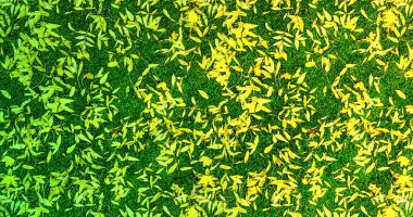 yeşil ve sarı arkaplan, çimlerdeki yaprakların dokusu, soyut yeşil arkaplan, baskı ve metin şablonu, poster.