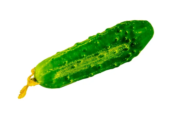 Cucumber on a white background, isolate, organic eco vegetables. — Stock Photo, Image