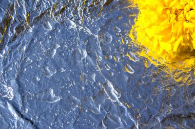 Sarı Afrika kadife çiçekleri, Tagetes erekta, gümüş bir zemin üzerinde su damlaları ile.