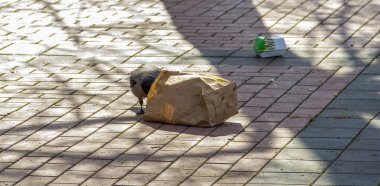Karga abur cubur paketlerini karıştırıyor..