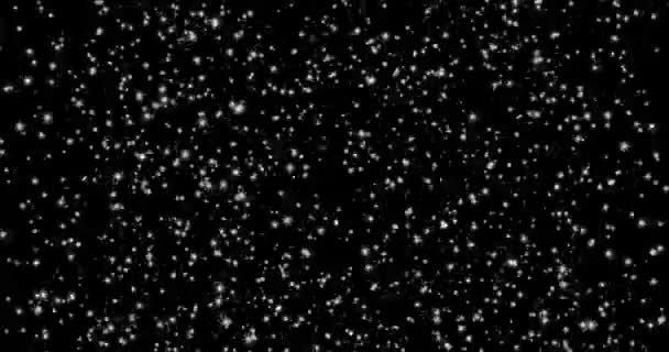 Black Background White Sparkling Stars Christmas New Year Abstract Shiny — Stock Video