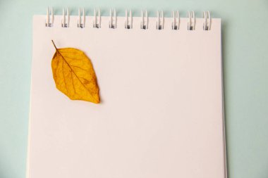 Not defteri ve sonbahar yaprakları mavi arka planda. Üst görünüm.