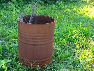 Gübre için demir paslı fıçı ve bahçedeki dalları yakmak, ekoloji, tarım, dacha.