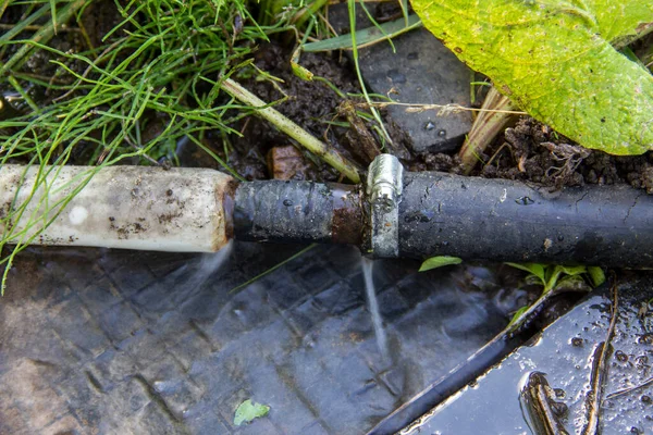 Hole Hose Water Pipe Bursting Hose Flowing Water Garden Broken — Stock Photo, Image