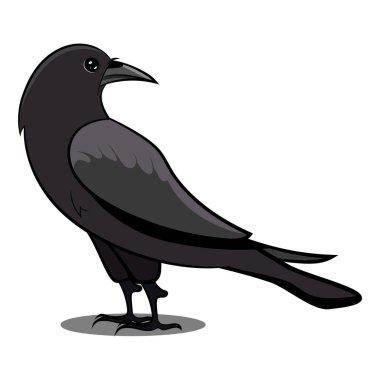 Kara Karga ve Gölge. Kara Kuş. Dünyanın farklı yerlerinden gelen kuşlar. Sıradan Kuşlar. Kuş Simgesi Vektör Resimleri Beyaz Arkaplanda Doodle 'ı izole etti. Renkli Kuşlar Ayarlandı