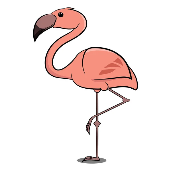 Flamingo Debout Sur Jambe Pink Bird Oiseaux Différentes Parties Monde — Photo