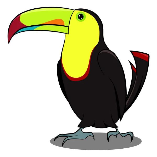 Toucan Noir Jaune Debout Avec Ombre Oiseau Jaune Noir Oiseaux — Photo