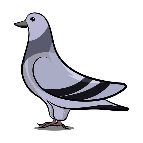 Pigeon Debout Avec Ombre Grey Bird Oiseaux Différentes Parties Monde — Photo