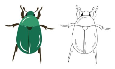 Beyaz Arkaplan 'da izole edilmiş Böcek ya da Coleoptera Vektör İllüstrasyon Doldurma ve Taslak. Böcekler, Böcekler, Böcekler, Böcekler ve Sinekler. Böcek Bilimi veya Böcek Kontrolü İş Grafikleri.