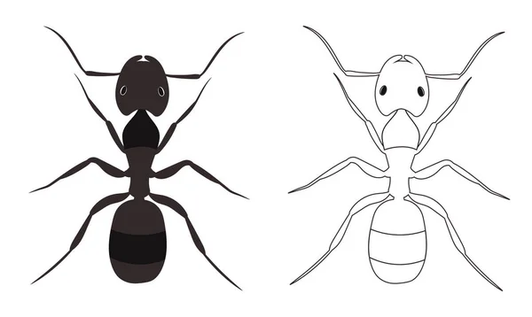 Ant Oder Formicidae Vector Illustration Fill Outline Isoliert Auf Weißem — Stockvektor