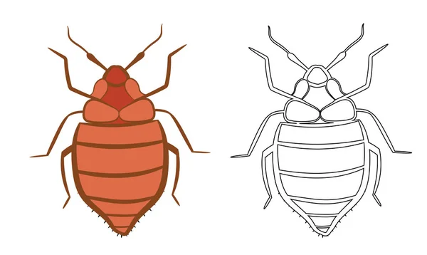 BedbugまたはCimex Lectulariusベクトルイラストの塗りつぶしとアウトライン白の背景に隔離されています 虫虫虫害虫やハエを虫 害虫駆除ビジネスグラフィック要素 — ストックベクタ
