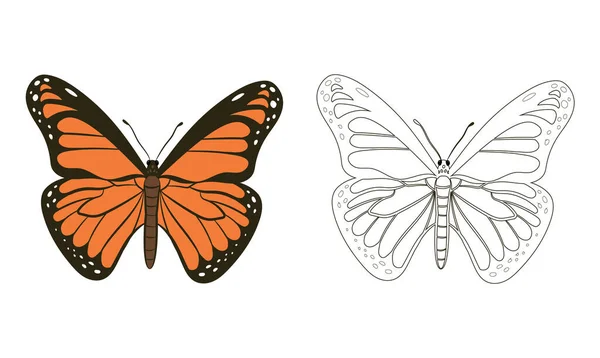 Πεταλούδα Rhopalocera Εικονογράφηση Διάνυσμα Συμπληρώστε Και Περίγραμμα Απομονώνονται Λευκό Φόντο — Διανυσματικό Αρχείο