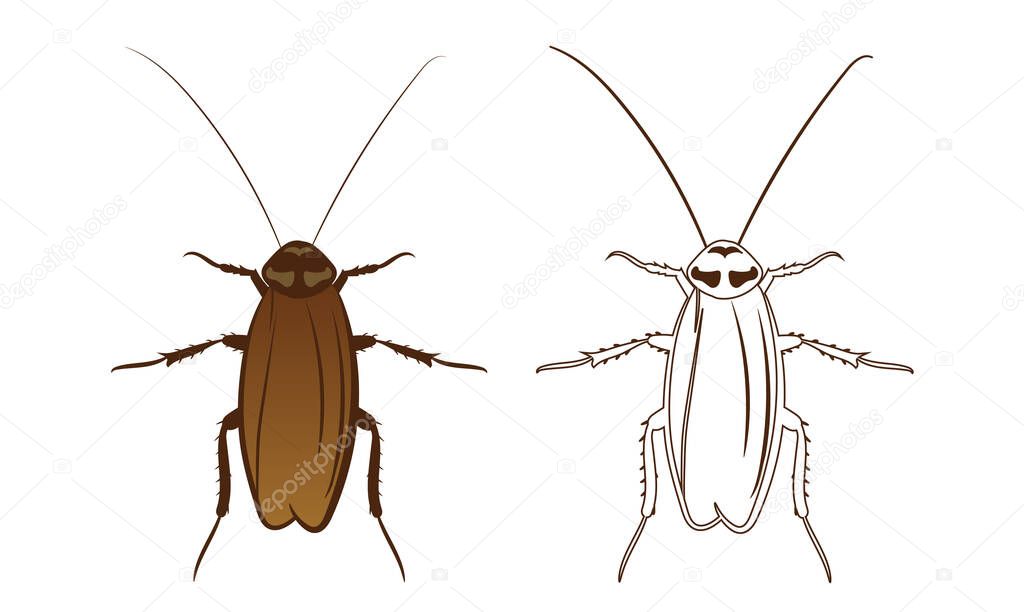 Cockroach or Blattodea Vector Illustration Fill and Outline Isolated on White Background. Insects Bugs Worms Pest and Flies. Entomology or Pest Control Business graphic elements.